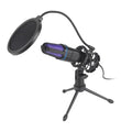 Microfone Profissional ZRGAE
