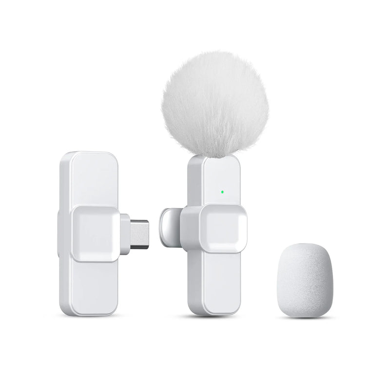 Microfone Portátil SNZIYAG K10